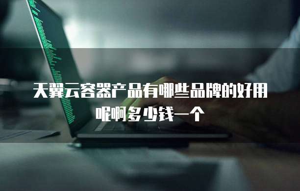 天翼云容器产品有哪些品牌的好用呢啊多少钱一个