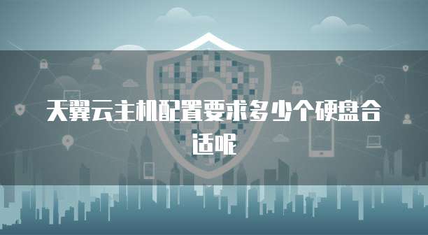 天翼云主机配置要求多少个硬盘合适呢