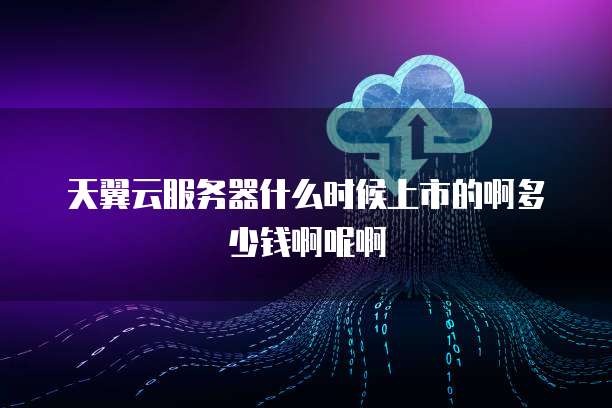天翼云服务器什么时候上市的啊多少钱啊呢啊