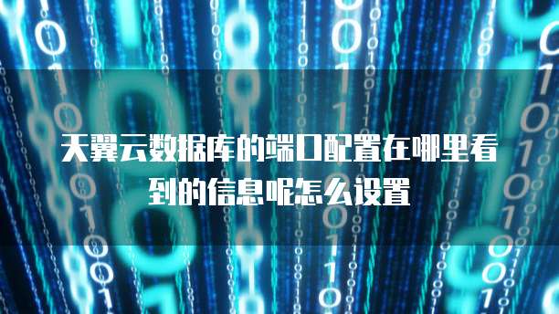 天翼云数据库的端口配置在哪里看到的信息呢怎么设置