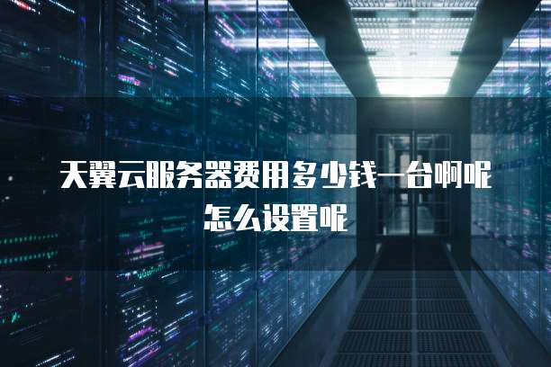 天翼云服务器费用多少钱一台啊呢怎么设置呢