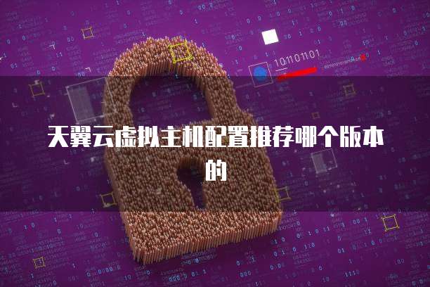 天翼云虚拟主机配置推荐哪个版本的