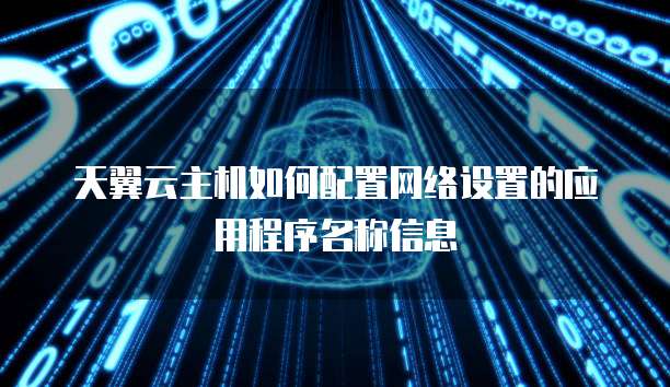 天翼云主机如何配置网络设置的应用程序名称信息