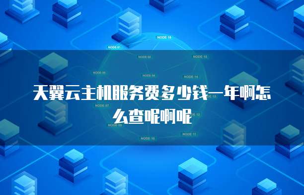 天翼云主机服务费多少钱一年啊怎么查呢啊呢