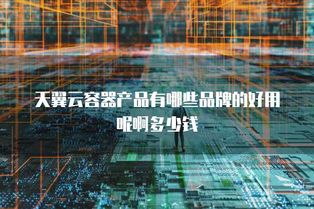 天翼云容器产品有哪些品牌的好用呢啊多少钱