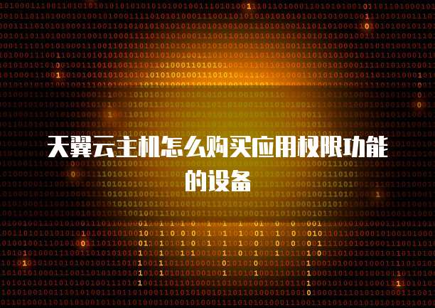 天翼云主机怎么购买应用权限功能的设备