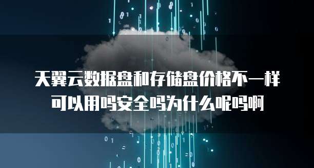 天翼云数据盘和存储盘价格不一样可以用吗安全吗为什么呢吗啊