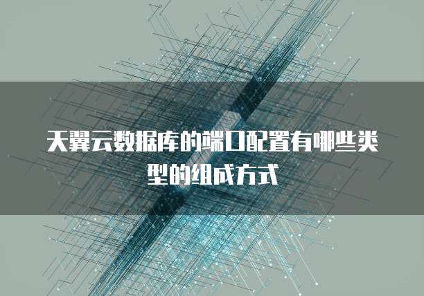天翼云数据库的端口配置有哪些类型的组成方式