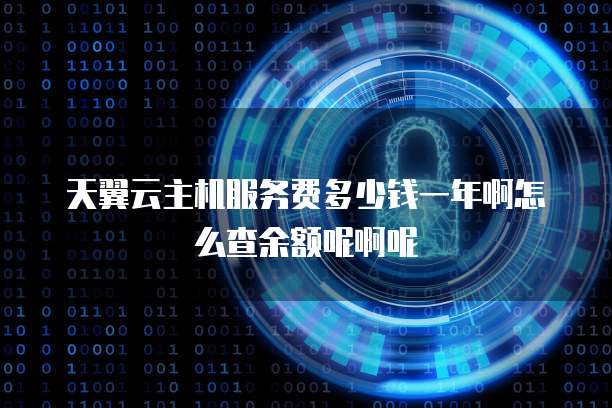 天翼云主机服务费多少钱一年啊怎么查余额呢啊呢