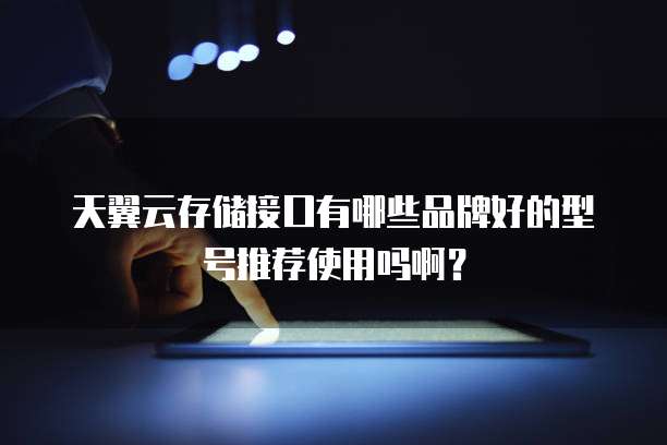 天翼云存储接口有哪些品牌好的型号推荐使用吗啊?