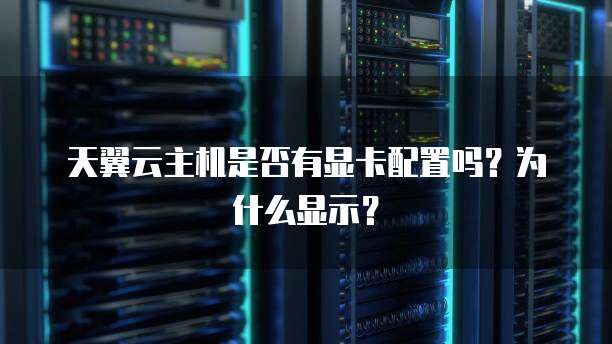 天翼云主机是否有显卡配置吗?为什么显示?