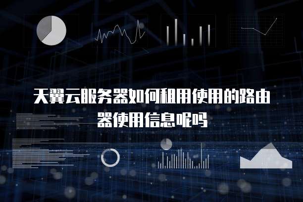 天翼云服务器如何租用使用的路由器使用信息呢吗