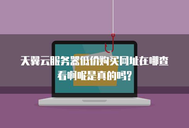 天翼云服务器低价购买网址在哪查看啊呢是真的吗?