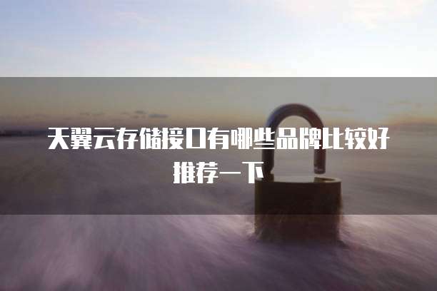 天翼云存储接口有哪些品牌比较好推荐一下