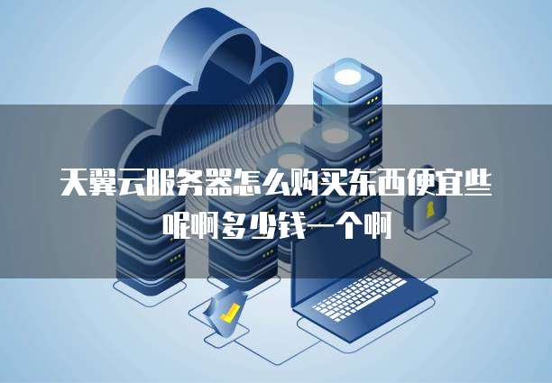 天翼云服务器怎么购买东西便宜些呢啊多少钱一个啊