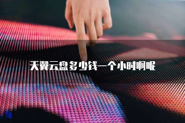 天翼云盘多少钱一个小时啊呢