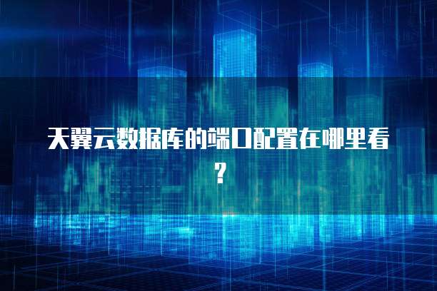 天翼云数据库的端口配置在哪里看?