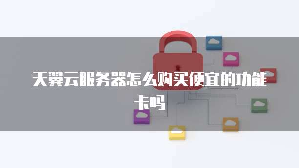 天翼云服务器怎么购买便宜的功能卡吗