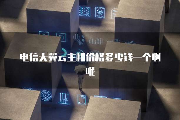 电信天翼云主机价格多少钱一个啊呢