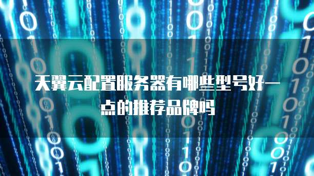 天翼云配置服务器有哪些型号好一点的推荐品牌吗
