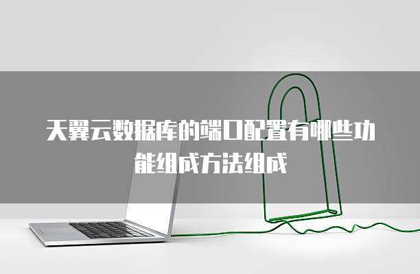 天翼云数据库的端口配置有哪些功能组成方法组成