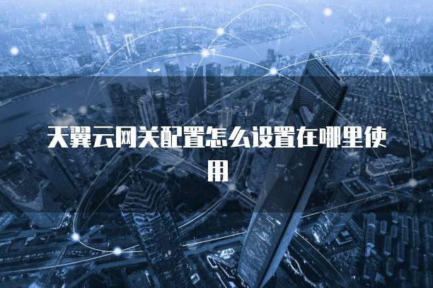 天翼云网关配置怎么设置在哪里使用