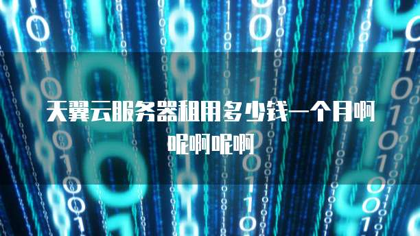 天翼云服务器租用多少钱一个月啊呢啊呢啊