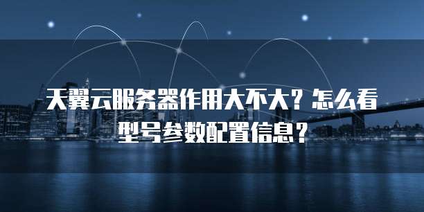 天翼云服务器作用大不大?怎么看型号参数配置信息?