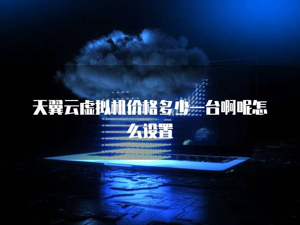 天翼云虚拟机价格多少一台啊呢怎么设置