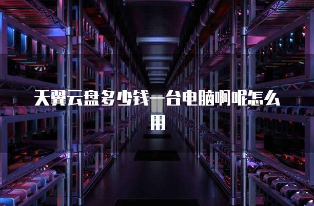 天翼云盘多少钱一台电脑啊呢怎么用