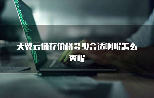 天翼云储存价格多少合适啊呢怎么查呢
