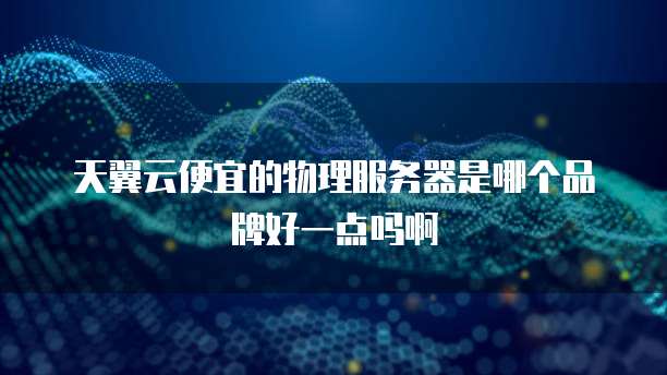 天翼云便宜的物理服务器是哪个品牌好一点吗啊