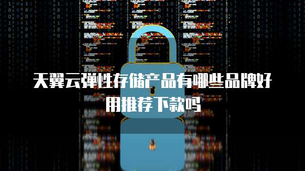 天翼云弹性存储产品有哪些品牌好用推荐下款吗