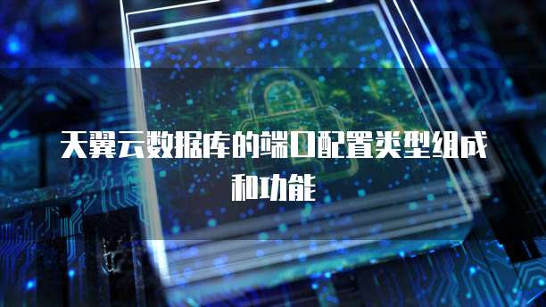天翼云数据库的端口配置类型组成和功能