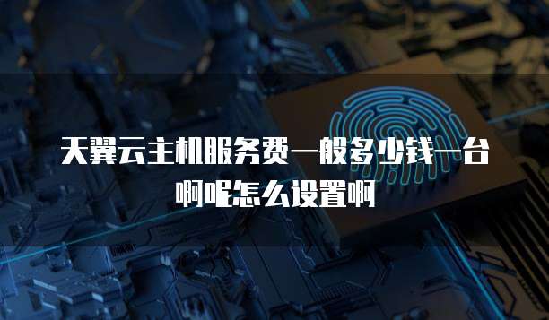 天翼云主机服务费一般多少钱一台啊呢怎么设置啊