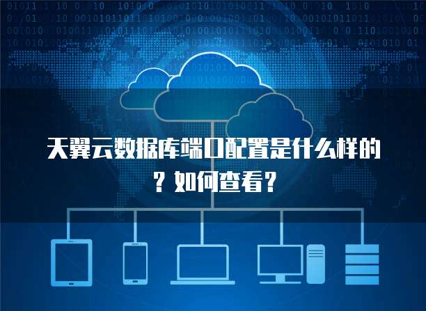 天翼云数据库端口配置是什么样的?如何查看?