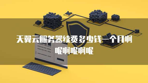 天翼云服务器续费多少钱一个月啊呢啊呢啊呢