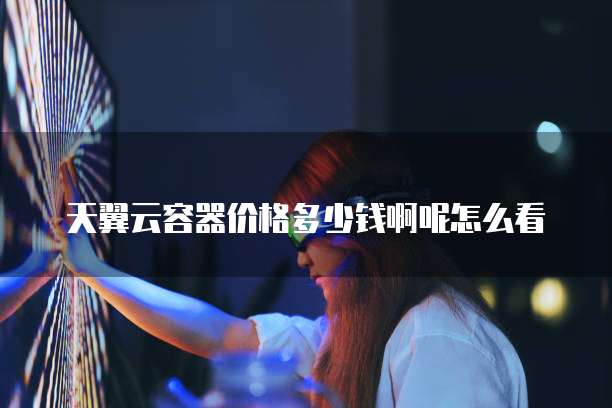 天翼云容器价格多少钱啊呢怎么看