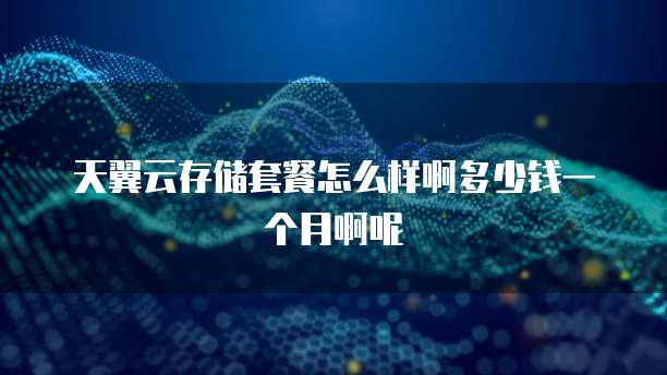 天翼云存储套餐怎么样啊多少钱一个月啊呢