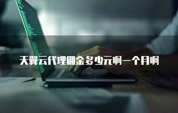 天翼云代理佣金多少元啊一个月啊