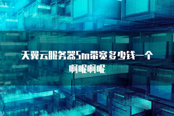 天翼云服务器5m带宽多少钱一个啊呢啊呢