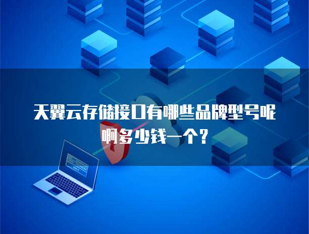 天翼云存储接口有哪些品牌型号呢啊多少钱一个?