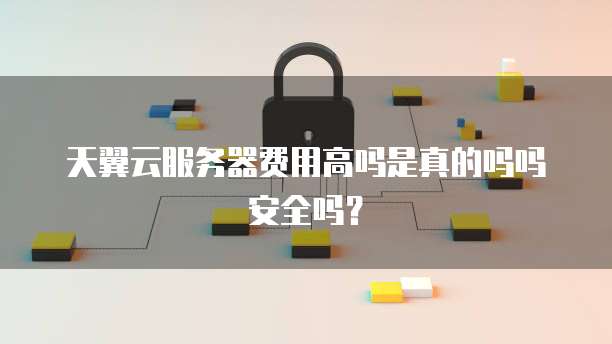 天翼云服务器费用高吗是真的吗吗安全吗?