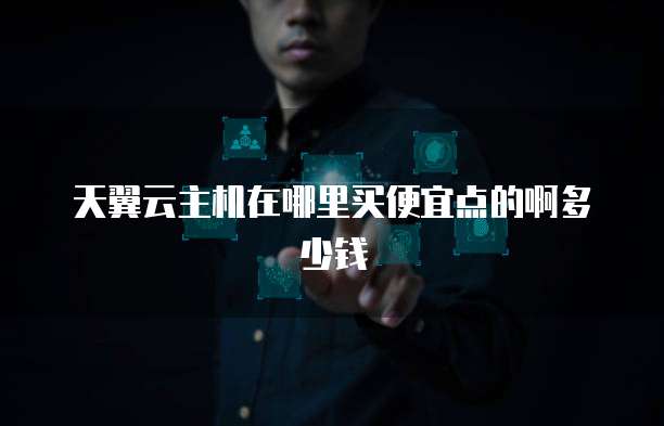 天翼云主机在哪里买便宜点的啊多少钱