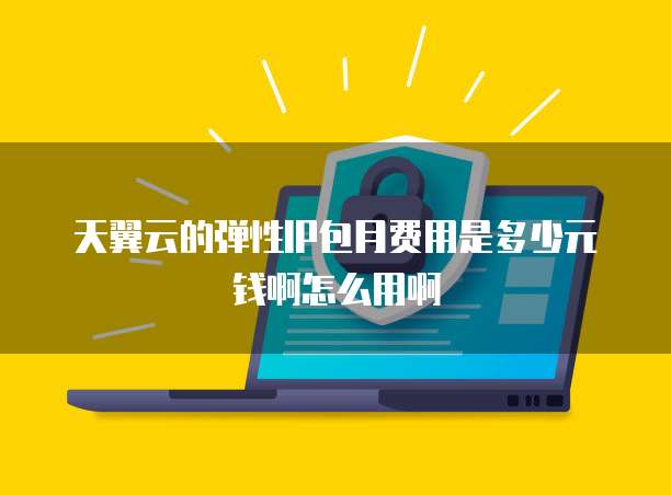 天翼云的弹性IP包月费用是多少元钱啊怎么用啊