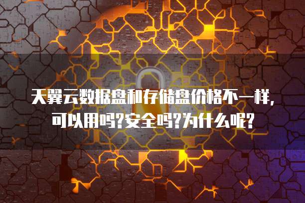 天翼云数据盘和存储盘价格不一样,可以用吗?安全吗?为什么呢?