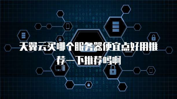 天翼云买哪个服务器便宜点好用推荐一下推荐吗啊