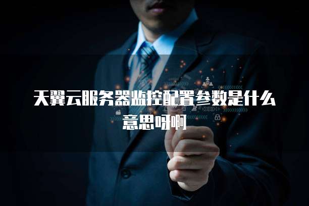 天翼云服务器监控配置参数是什么意思呀啊