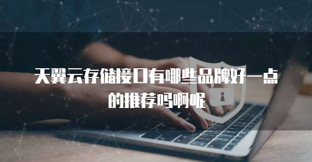 天翼云存储接口有哪些品牌好一点的推荐吗啊呢
