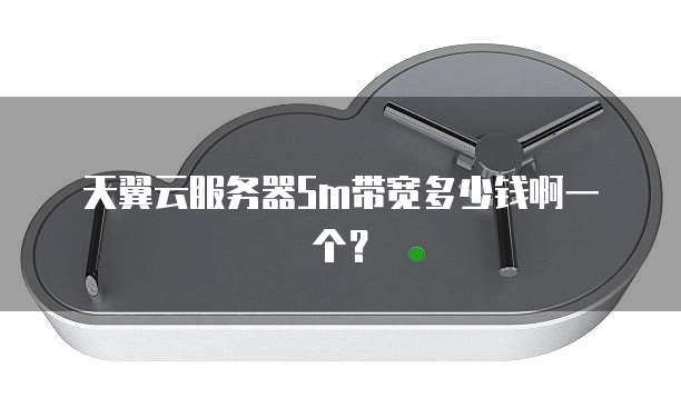 天翼云服务器5m带宽多少钱啊一个？